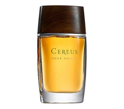 Cereus No11 Pour Homme