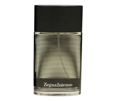 Ermenegildo Zegna Intenso 107365