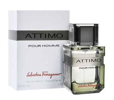 Salvatore Ferragamo Attimo Pour Homme 124388