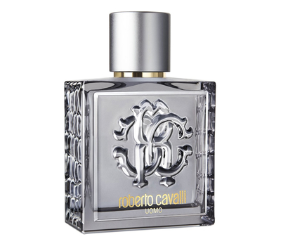 Roberto Cavalli Uomo Silver Essence 192137