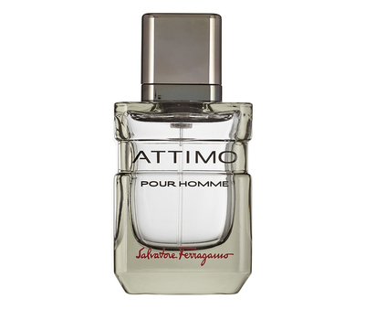 Salvatore Ferragamo Attimo Pour Homme 193695